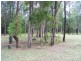 Lot 299 Stottenville Road, Bauple QLD 4650