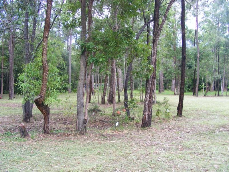 Lot 299 Stottenville Road, Bauple QLD 4650