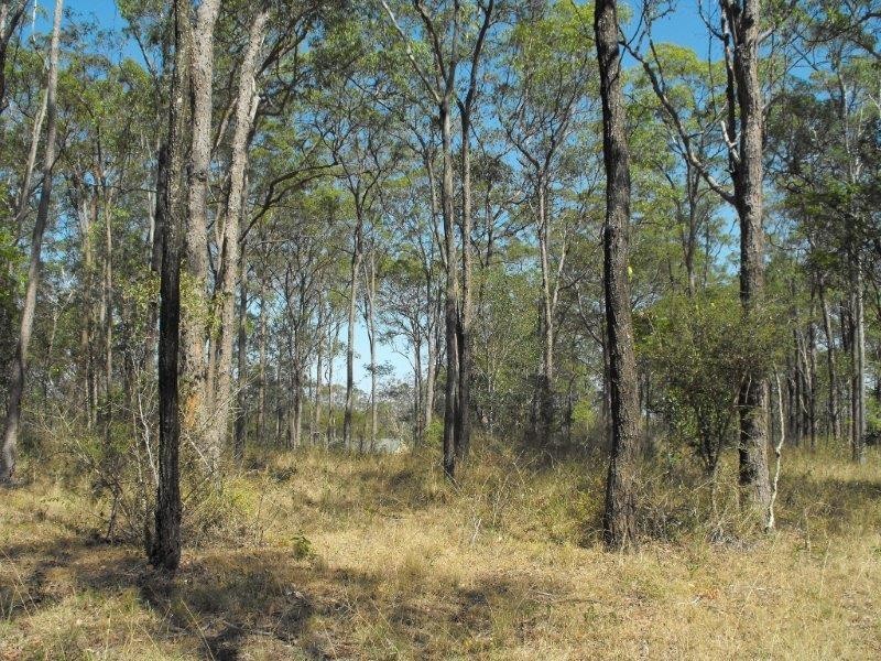 56 Langton Road, Blackbutt North QLD 4306