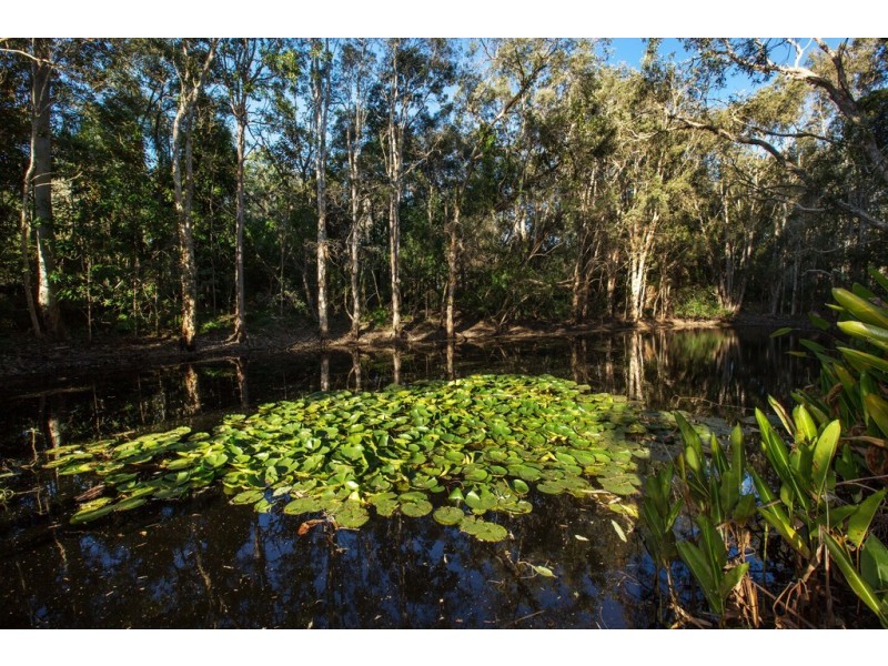 31 Palmridge Court, Deception Bay QLD 4508