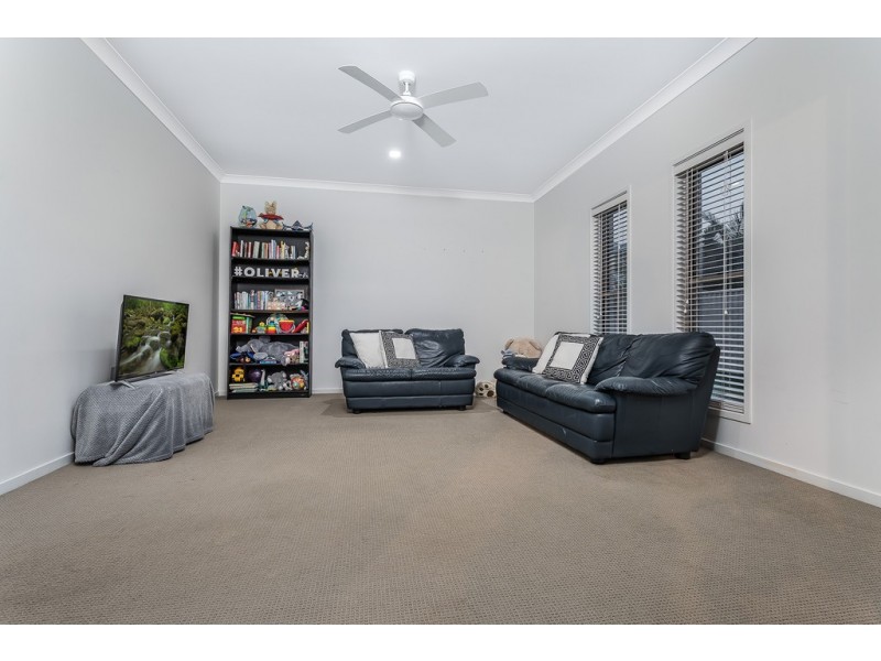 14 Skandia Court, Newport QLD 4020