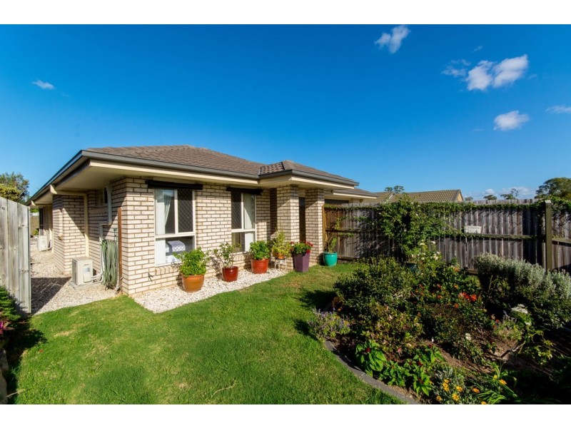 41 Amity Drive, Rothwell QLD 4022