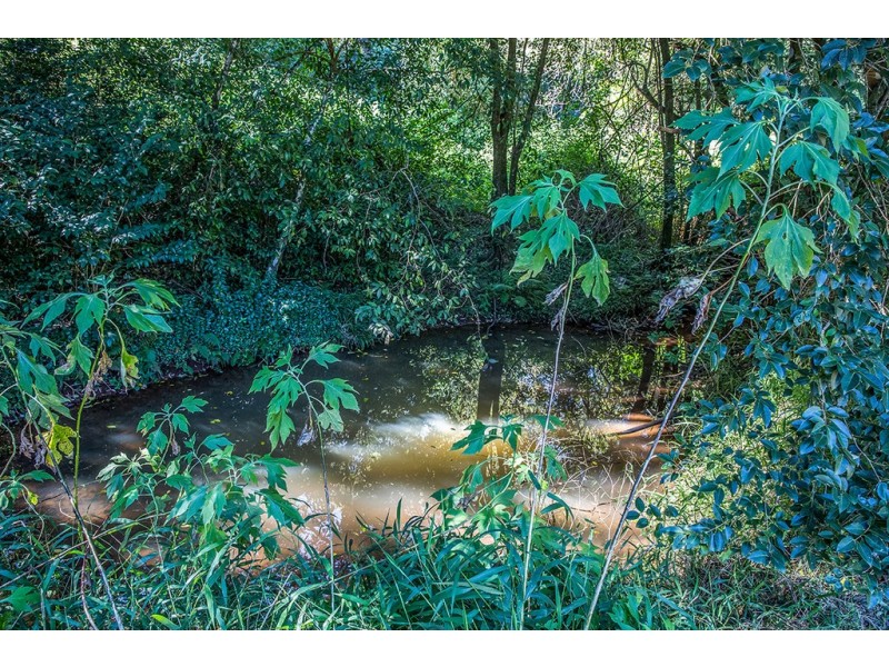 93 Western Avenue, Montville QLD 4560