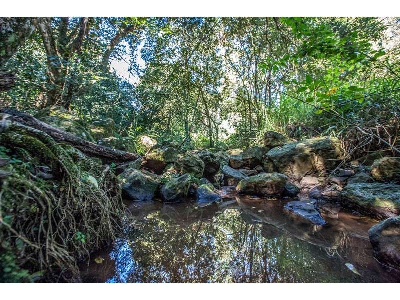 93 Western Avenue, Montville QLD 4560