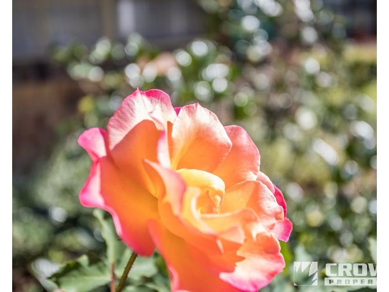 53/56 MILLER STREET, Kippa-ring QLD 4021