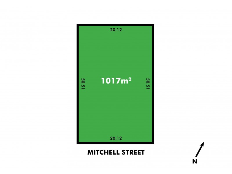 52 Mitchell Street, Mount Pleasant WA 6153