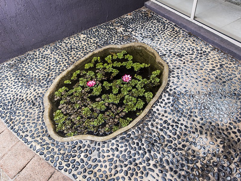 50 Conochie Cresent, Manning WA 6152