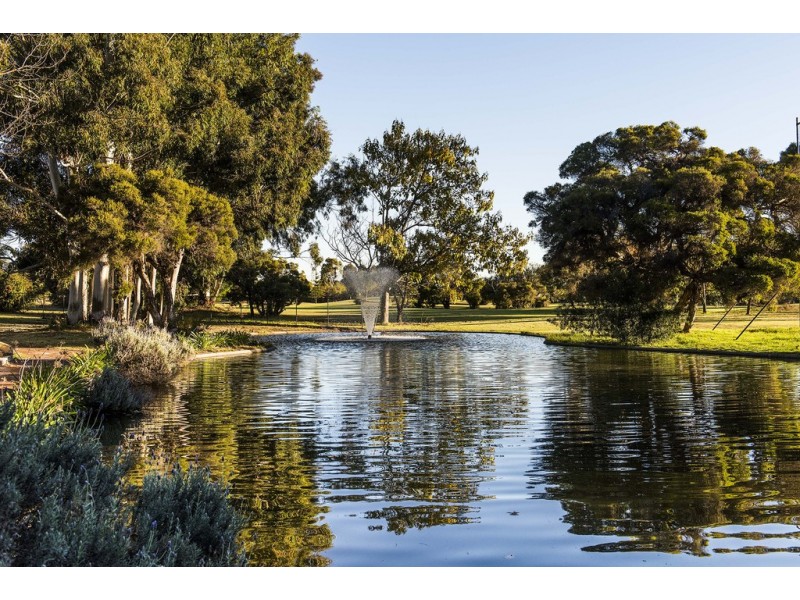 19 Portsea Gardens, Jandakot WA 6164