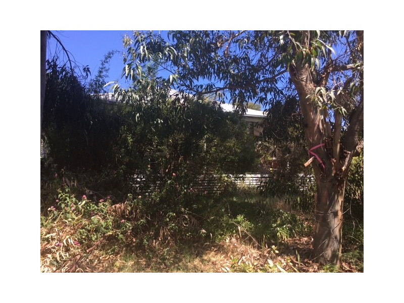 13 Carrington Street, Palmyra WA 6157