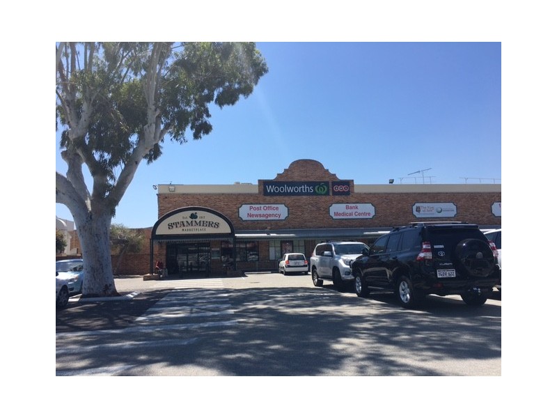 13 Carrington Street, Palmyra WA 6157