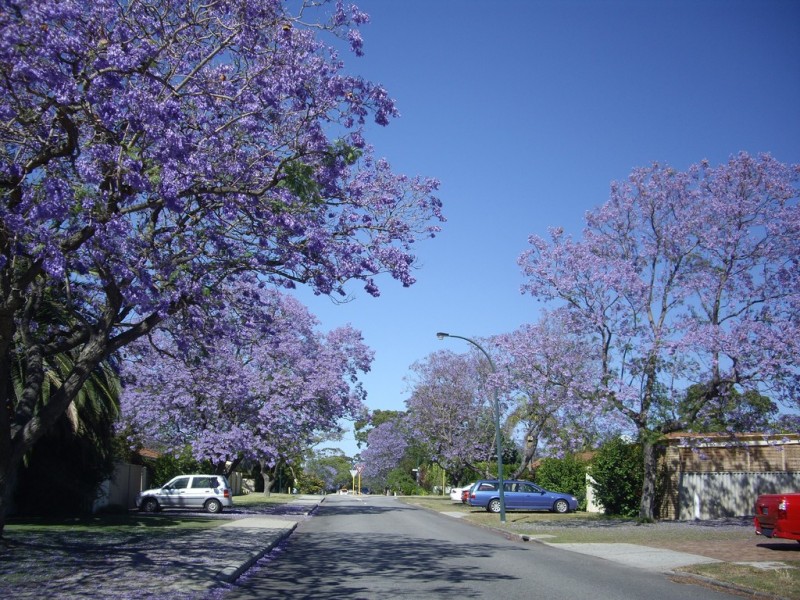 E303/70 Canning Beach Rd, Applecross WA 6153