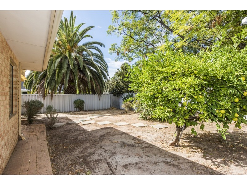 393 Marmion Street, Melville WA 6156