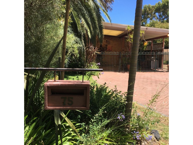 75 Ardross Street, Applecross WA 6153
