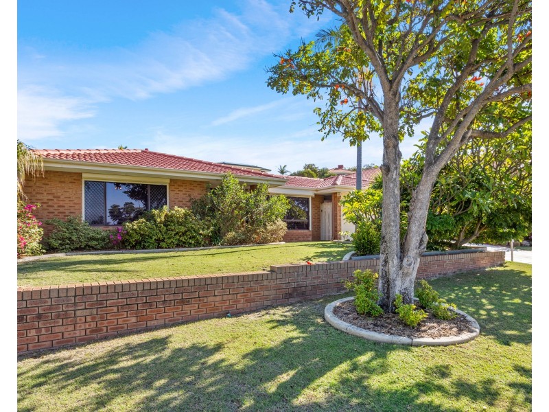 4 Steffanoni Place, Kardinya WA 6163