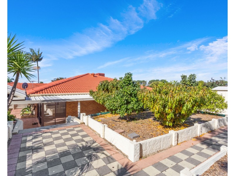 4 Steffanoni Place, Kardinya WA 6163