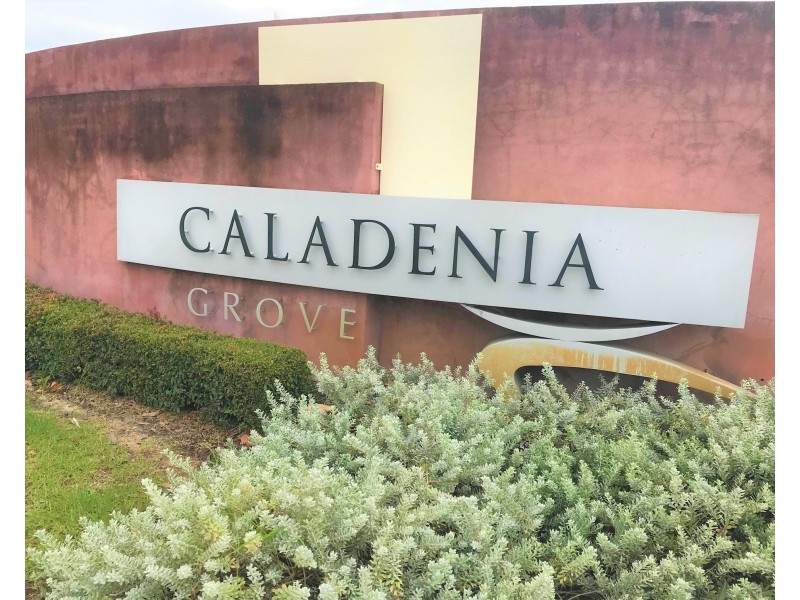 33 Marginata Parkway, Canning Vale WA 6155