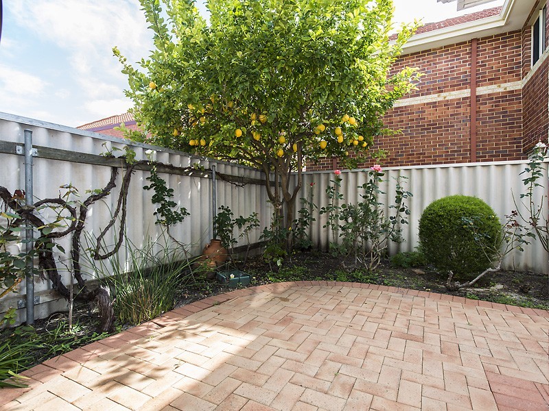 25 Armagh Street, Victoria Park WA 6100