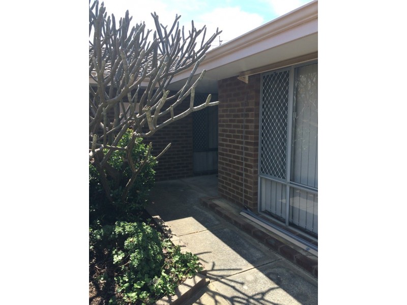 12 Buckingham Street, Kardinya WA 6163