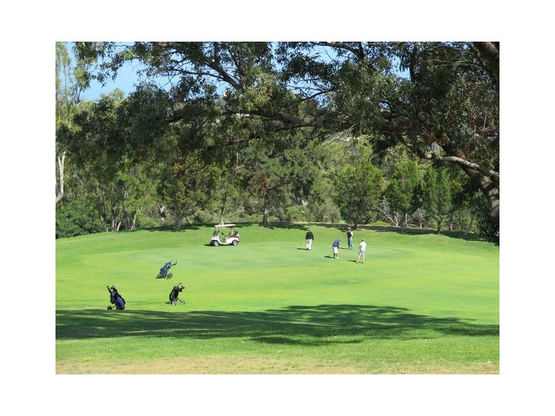 37a Milne St, Bicton WA 6157