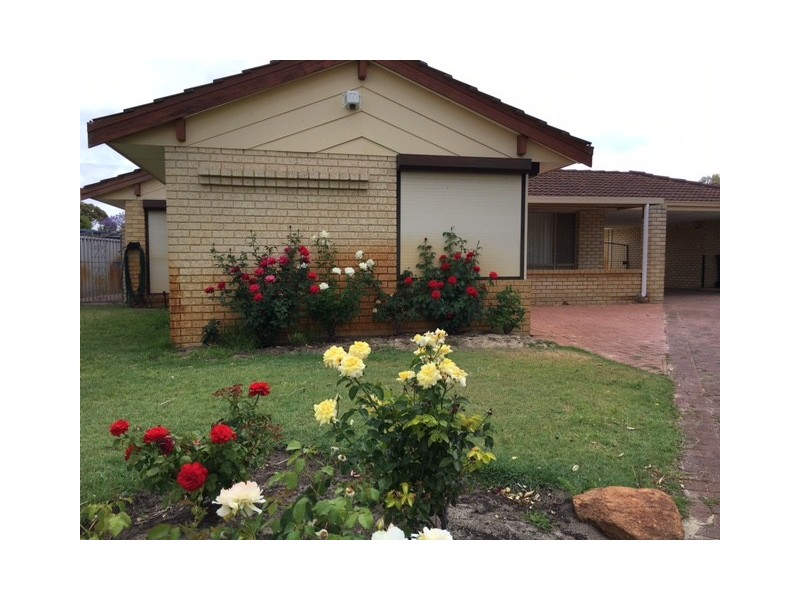 46A Windmill Drive, Bibra Lake WA 6163