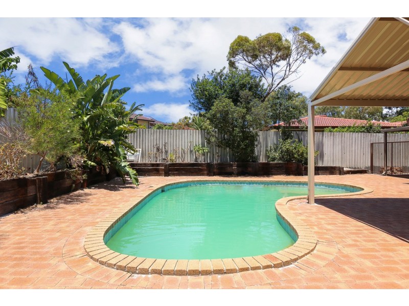 24 Barrow Crescent, Shelley WA 6148