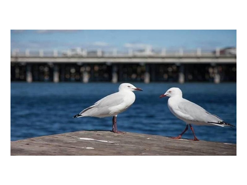 NG01/70 Canning Beach Road, Applecross WA 6153