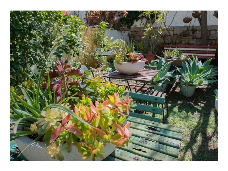 6/36 Shadbolt Street, Booragoon WA 6154