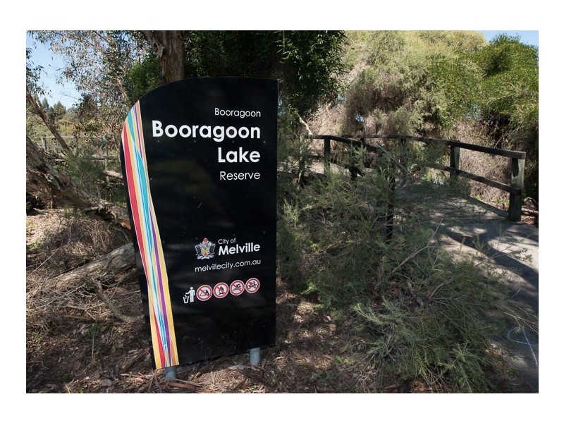 6/36 Shadbolt Street, Booragoon WA 6154