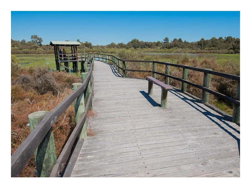 6/36 Shadbolt Street, Booragoon WA 6154