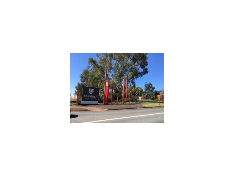 13/6-8 Pinewood Avenue, Kardinya WA 6163