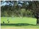 20 Clive St, Bicton WA 6157