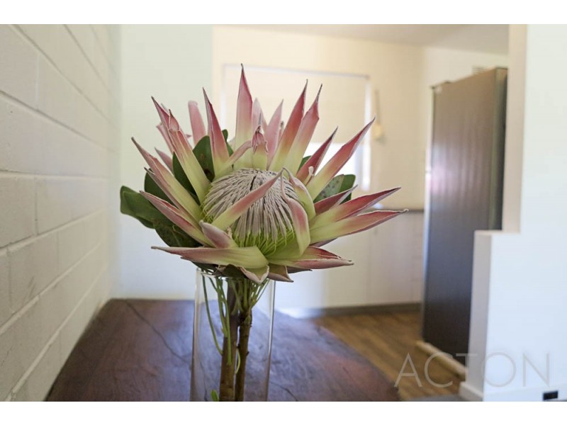 6/25 The Avenue, Crawley WA 6009