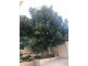 61 Yeovil Crescent, Bicton WA 6157