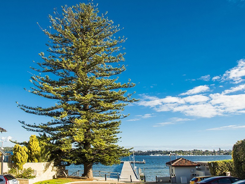 1/7 Victoria Avenue, Claremont WA 6010