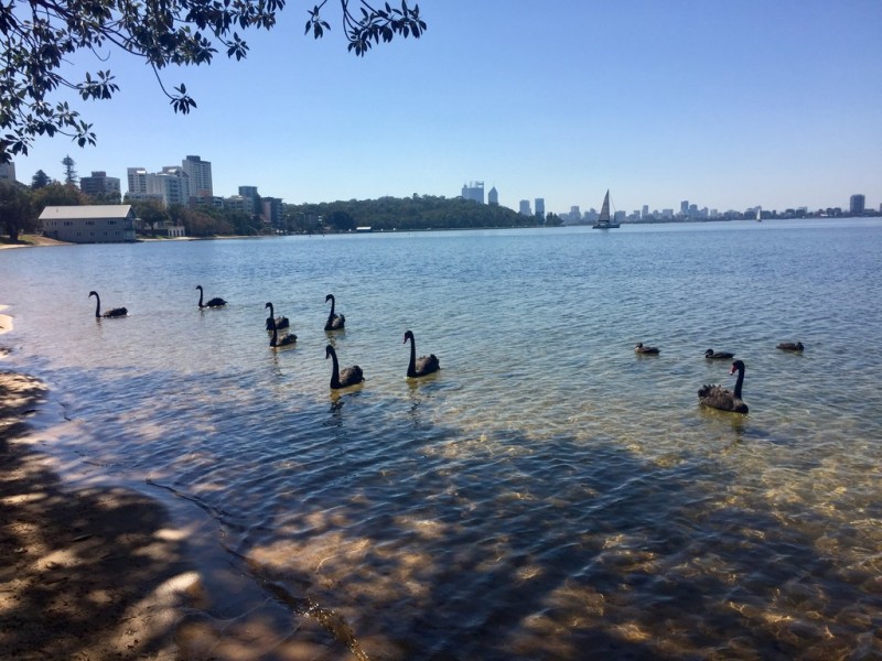 4F/10 Mounts Bay Road, Crawley WA 6009