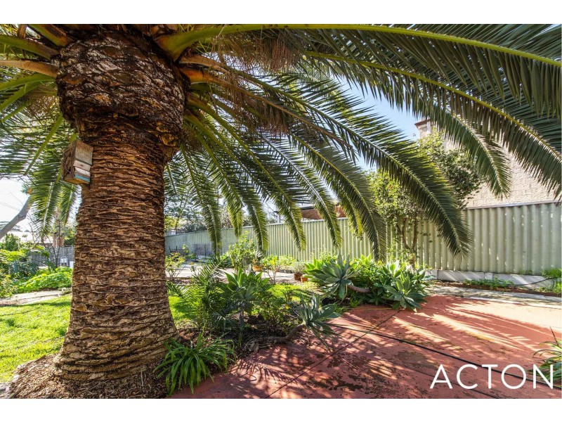 3 Samson Street, Mosman Park WA 6012