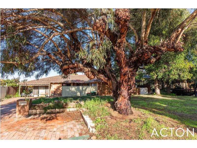 26 Mantua Crescent, Churchlands WA 6018
