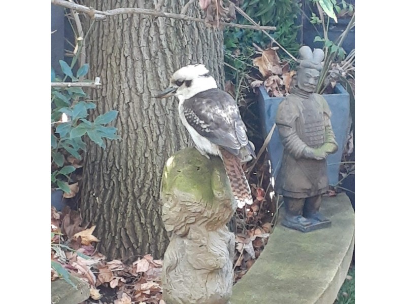 6/85A Bay View Terrace, Claremont WA 6010