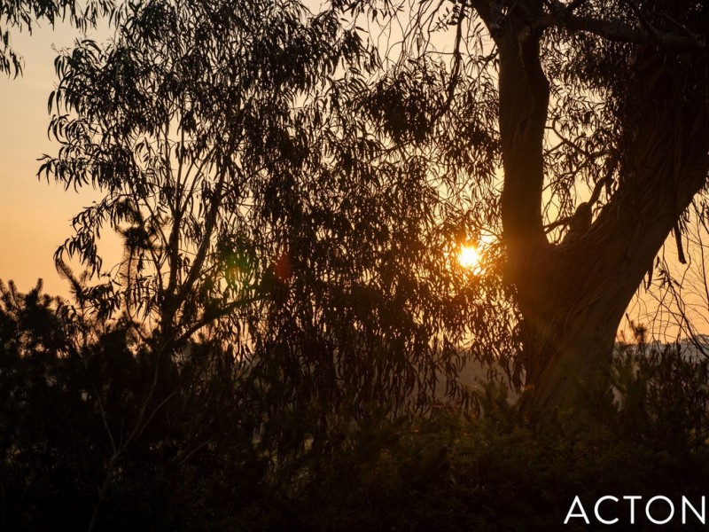 6 Burnettia Lane, Mount Claremont WA 6010