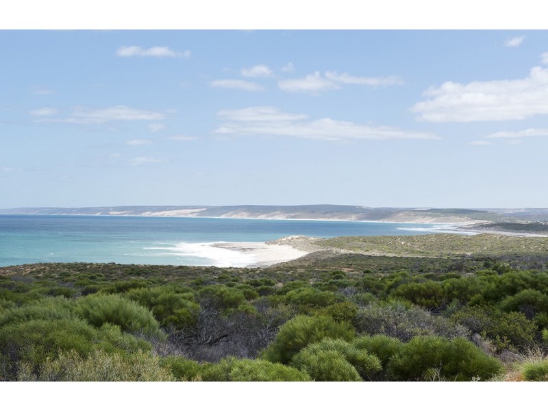 58 Jacques Boulevard, Kalbarri WA 6536