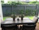 25A College Road, Claremont WA 6010