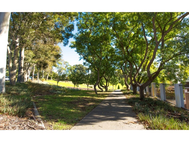 3 Lupin Hill Grove, Nedlands WA 6009