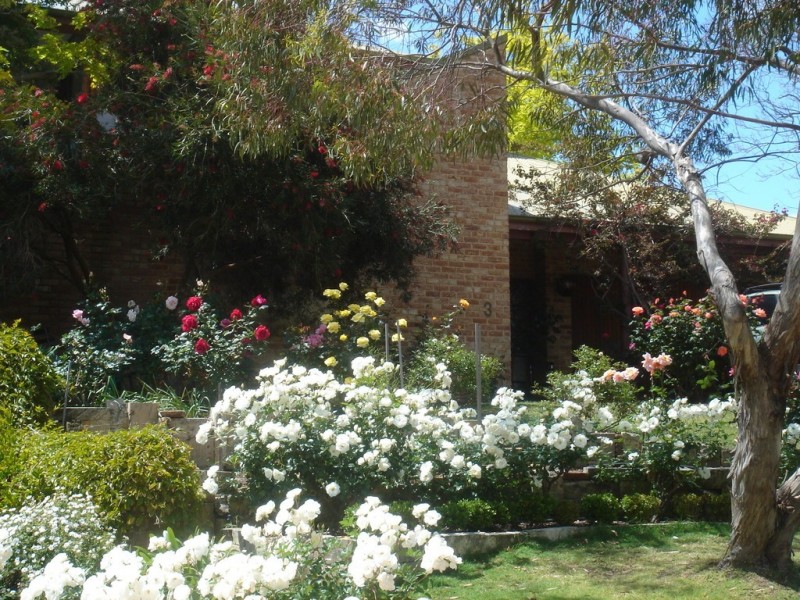 3 Grainger Drive, Mount Claremont WA 6010