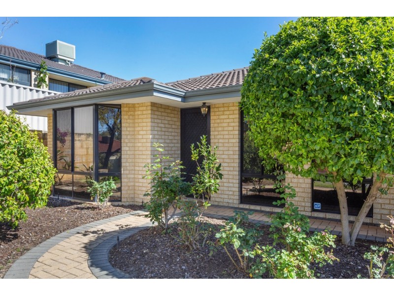 29 Hybanthus Loop, Beeliar WA 6164