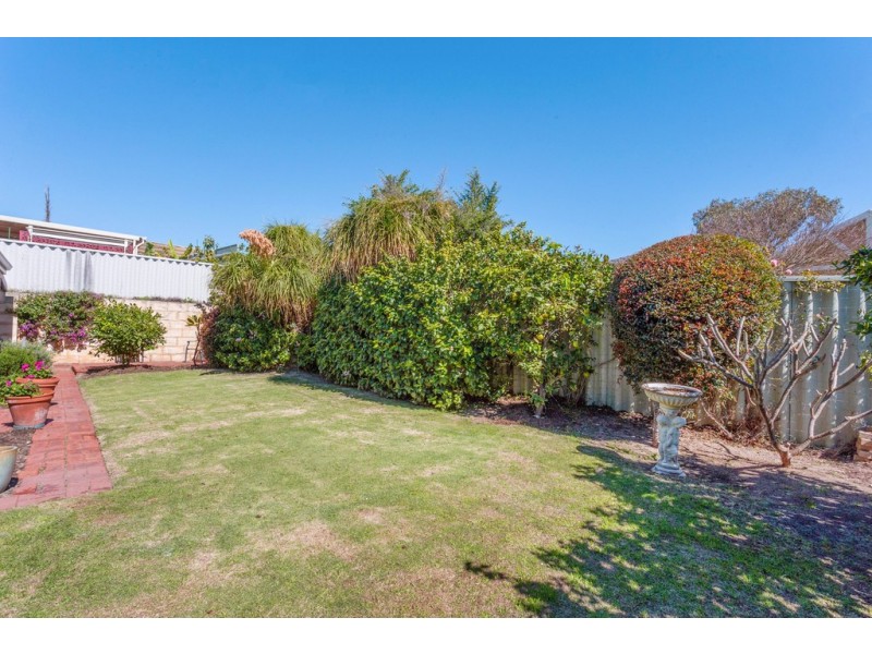 29 Hybanthus Loop, Beeliar WA 6164