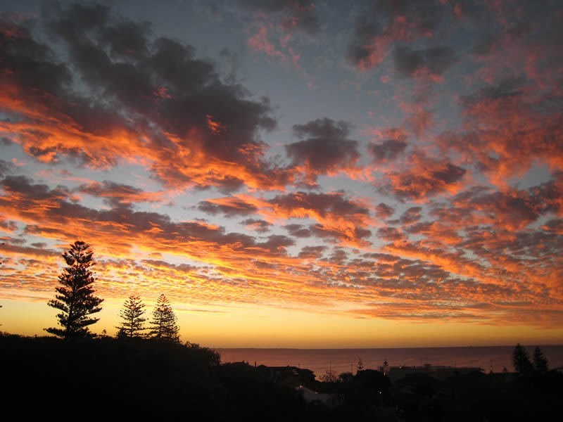 7/22 John Street, Cottesloe WA 6011