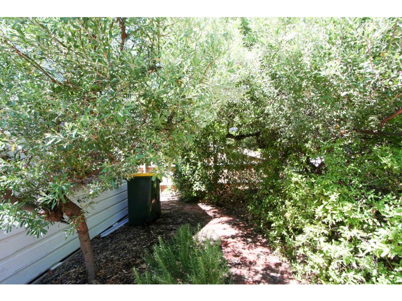 25 Solomon Street, Mosman Park WA 6012