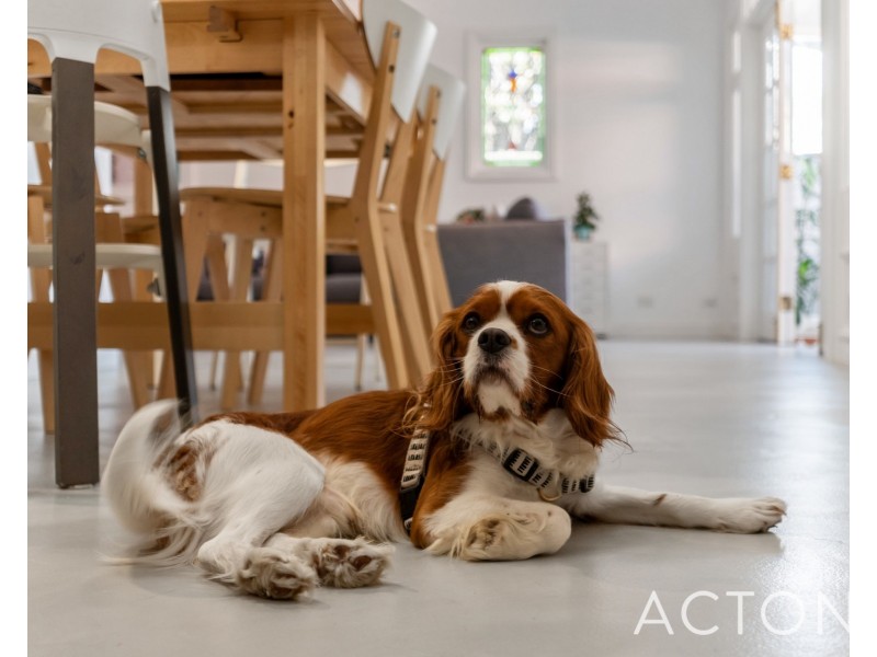 48 Northwood Street, West Leederville WA 6007