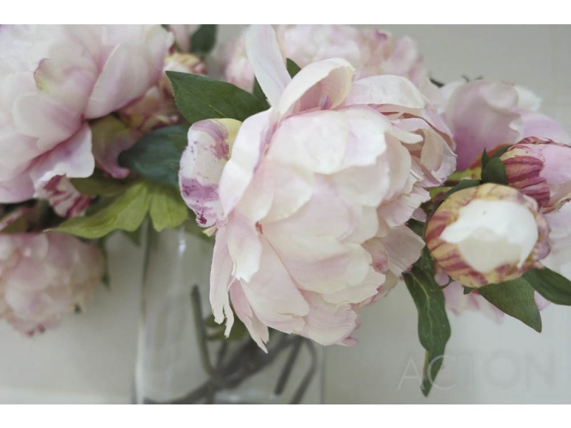 82 Bay View Terrace, Claremont WA 6010