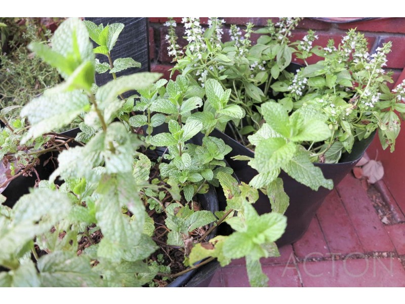 82 Bay View Terrace, Claremont WA 6010